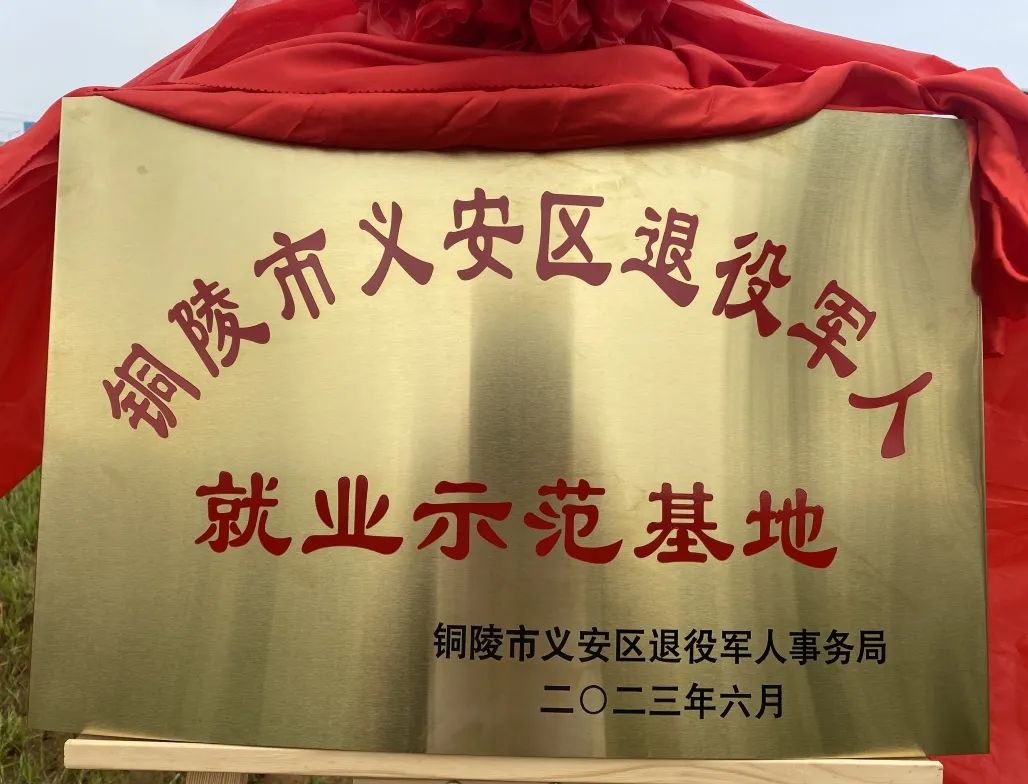 云顶集团·(中国)手机版app下载