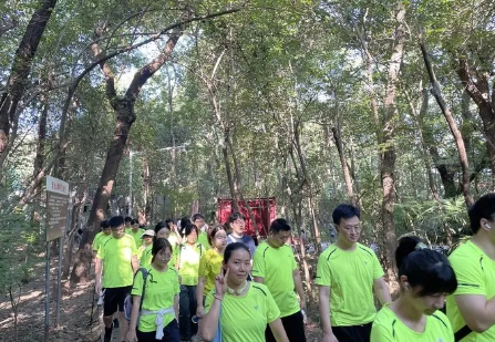 云顶集团·(中国)手机版app下载